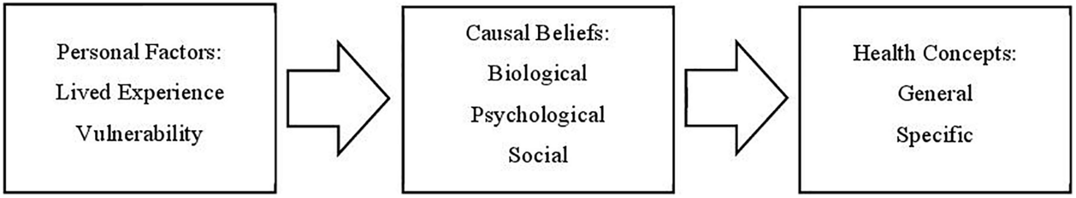 Lived experiences matter: The role of mental health professionals’ psychological crises and vulnerability in shaping their health beliefs and concepts